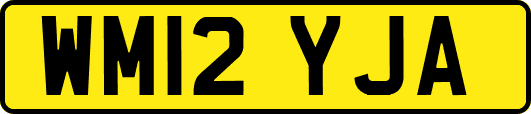 WM12YJA