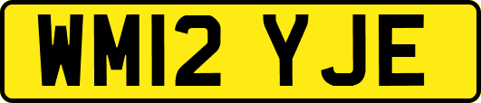 WM12YJE