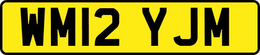 WM12YJM