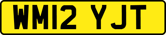 WM12YJT