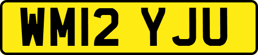 WM12YJU