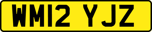 WM12YJZ