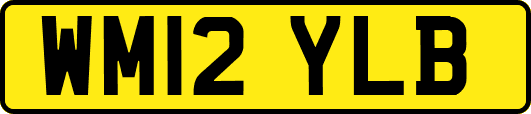 WM12YLB