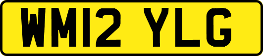 WM12YLG