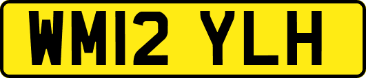 WM12YLH