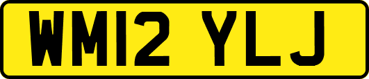 WM12YLJ