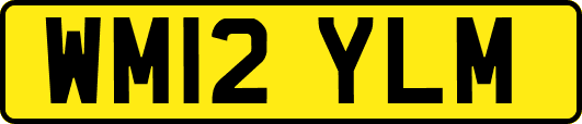 WM12YLM
