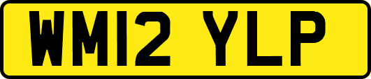 WM12YLP