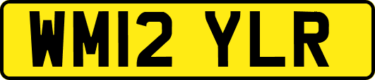 WM12YLR