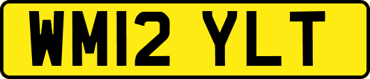 WM12YLT