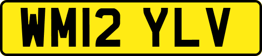 WM12YLV