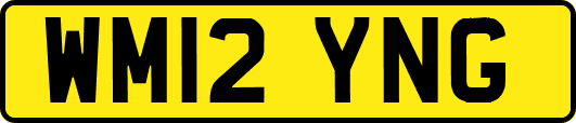 WM12YNG