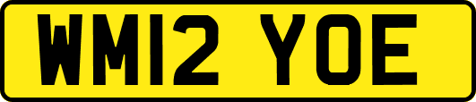 WM12YOE