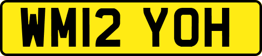 WM12YOH