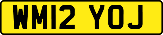 WM12YOJ
