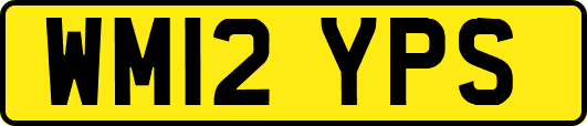 WM12YPS