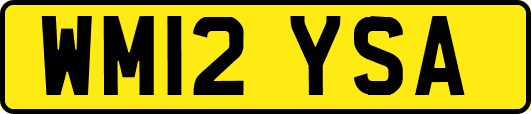 WM12YSA