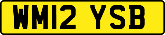 WM12YSB