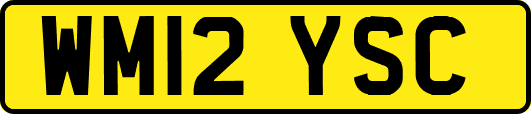 WM12YSC
