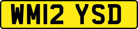 WM12YSD