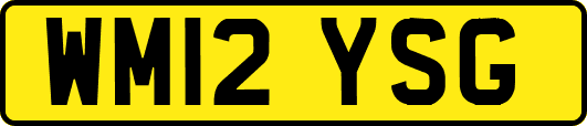 WM12YSG
