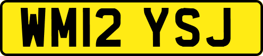 WM12YSJ
