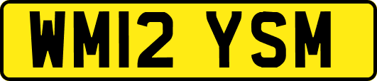 WM12YSM