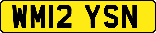 WM12YSN