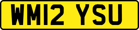 WM12YSU