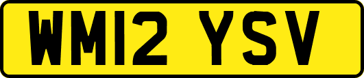 WM12YSV