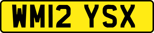 WM12YSX