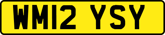 WM12YSY