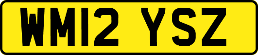 WM12YSZ
