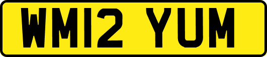 WM12YUM