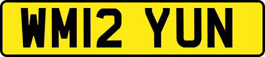WM12YUN
