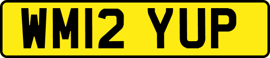 WM12YUP