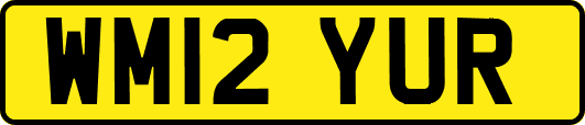 WM12YUR