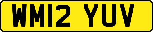 WM12YUV