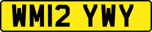 WM12YWY