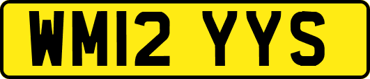 WM12YYS