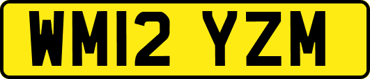 WM12YZM