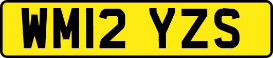 WM12YZS