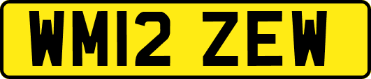 WM12ZEW