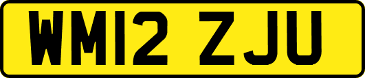 WM12ZJU