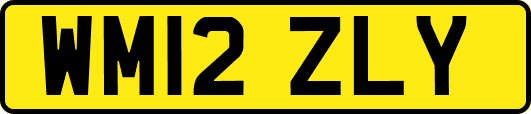 WM12ZLY