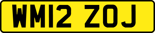 WM12ZOJ