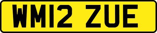 WM12ZUE