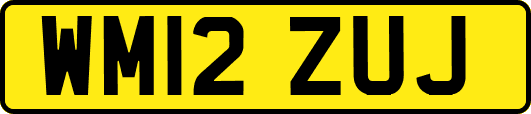 WM12ZUJ