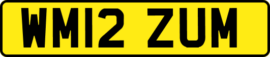 WM12ZUM