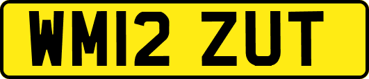 WM12ZUT
